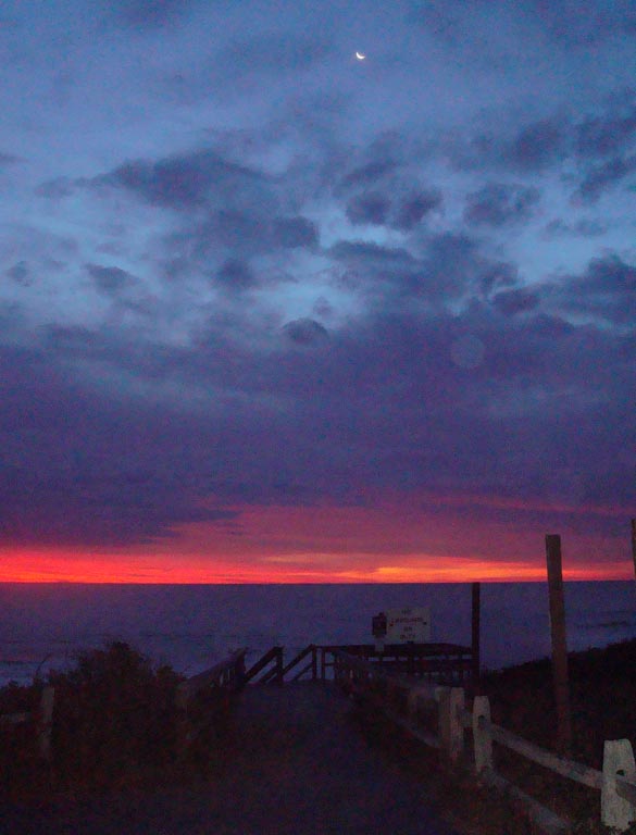 Cape cod 2008 001